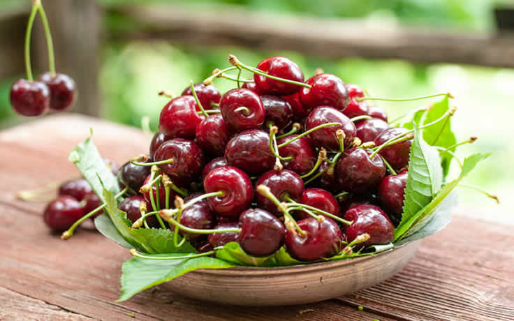 Sour Cherry