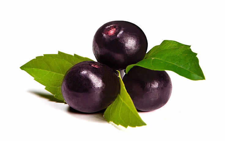 Acaiberry