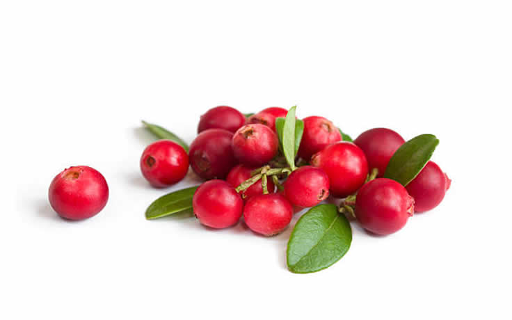 Cranberry