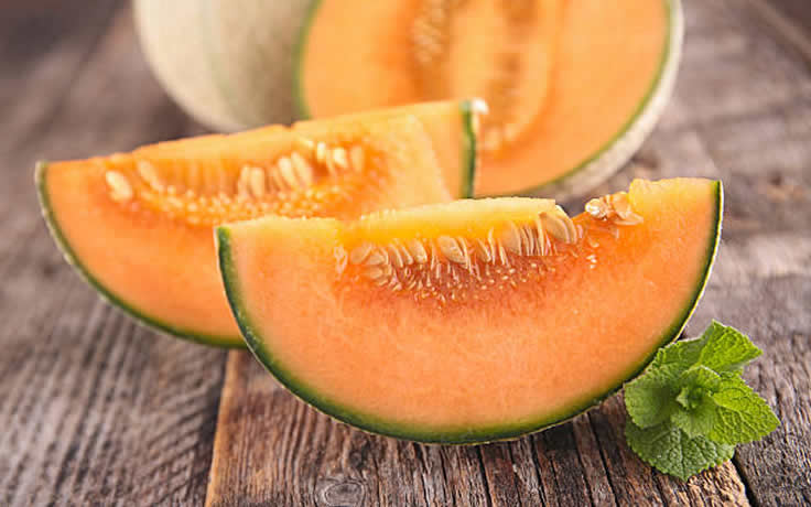 Muskmelon